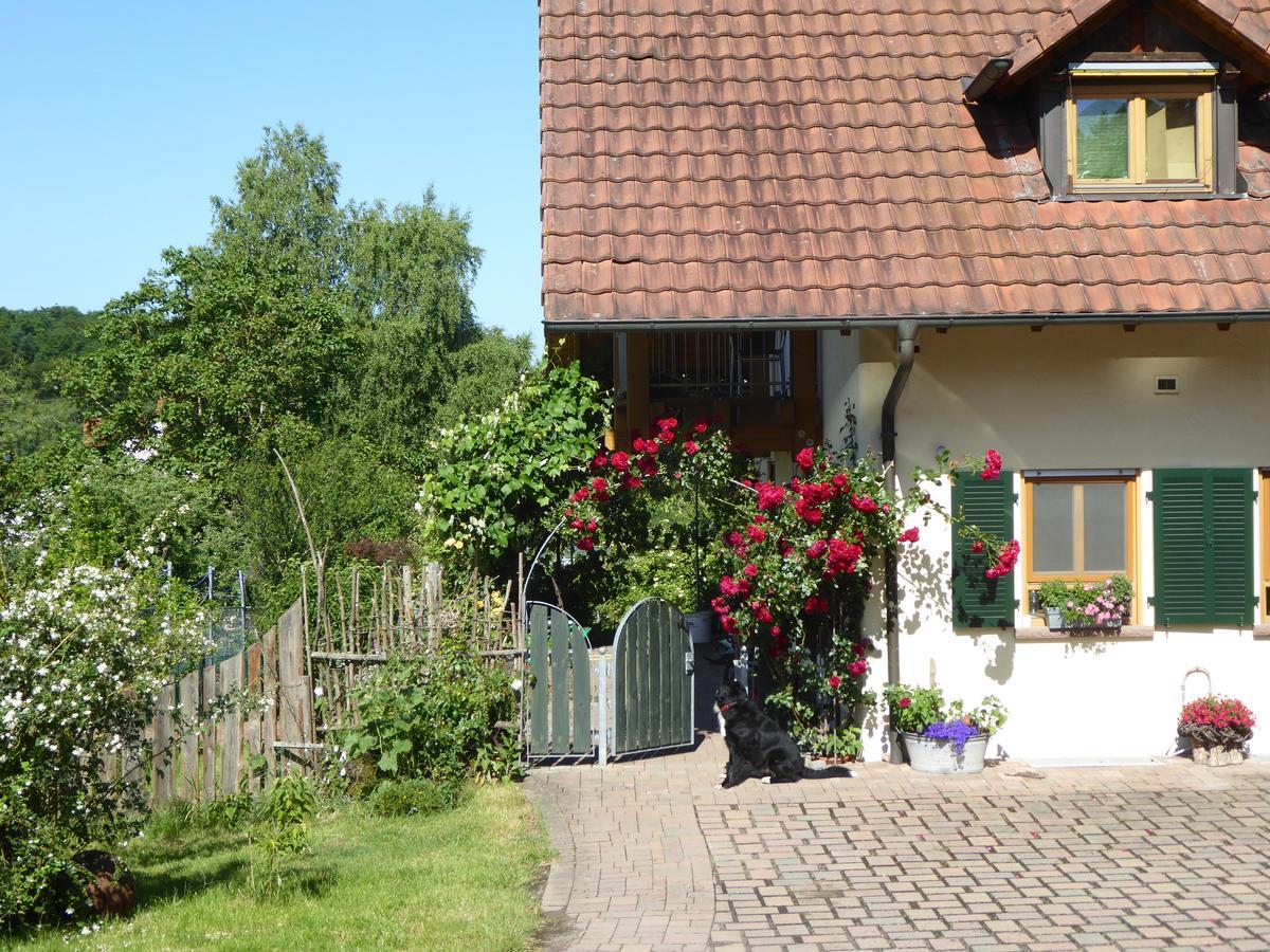 Ferienwohnung Waldblick Zweibrücken Eksteriør bilde